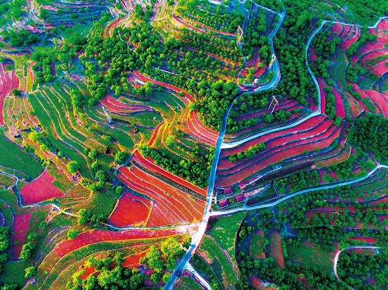 花香果巷旅游景区（4A）1.jpg