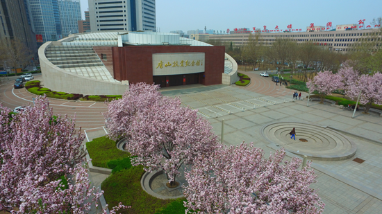 抗震 图片1.png